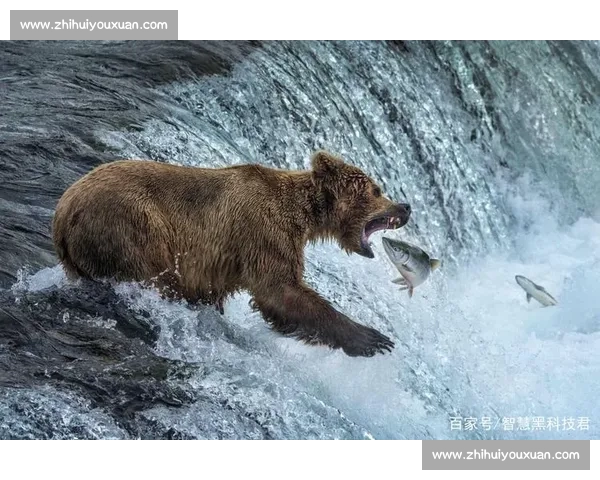 棕熊vs自然王者对决力量智慧与生存极限全解析野外真实场景生态博弈深度观察